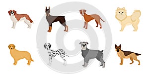 Dog breeds icons in set collection for design.Dog pet vector symbol stock web illustration.