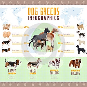 Dog Breeds Infographics