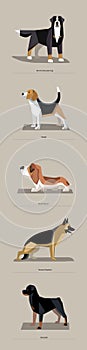 Dog breeds in minimalist style