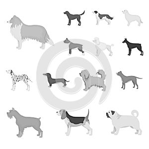 Dog breeds monochrome icons in set collection for design.Dog pet vector symbol stock web illustration.