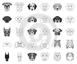 Dog breeds monochrome,outline icons in set collection for design.Muzzle of a dog vector symbol stock web illustration.