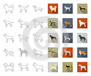 Dog breeds outline,flat icons in set collection for design.Dog pet vector symbol stock web illustration.
