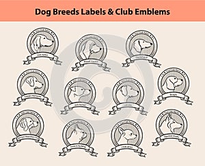 Dog Breeds Portraits