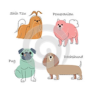 Dog breeds Set 2 . Flat shape and pencil line drawing design . Vector