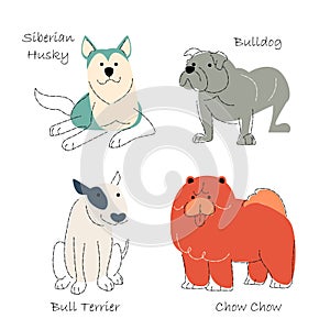 Dog breeds Set 3 . Flat shape and pencil line drawing design . Vector