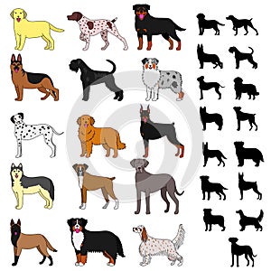 Dog breeds set