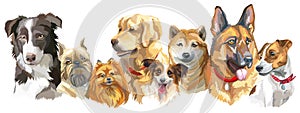 Dog breeds set