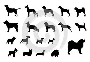 Dog breeds. Set of black silhouettes of dogs of different breeds. Dogs from the smallest to the largest. Vector illustration