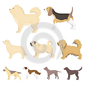 Dog breeds set icons in cartoon style. Big collection of dog breeds vector symbol stock illustration