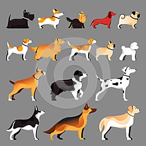 Dog breeds set. Vector flat illustration. Pets icons collection