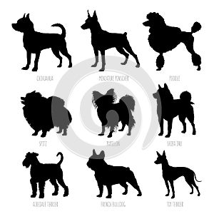 Dog breeds silhouettes set. High detailed, smooth vector illustration