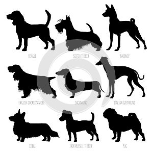 Dog breeds silhouettes set. High detailed, smooth vector illustration