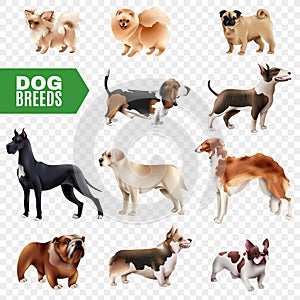 Dog Breeds Transparent Icon Set