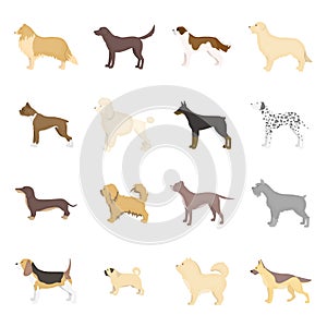 Dog breeds vector icon set in cartoon style.