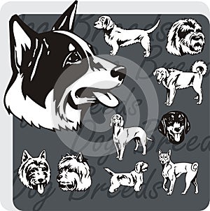 Dog Breeds - vector set