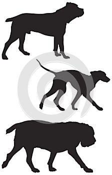 Dog breeds vector Silhouettes 5