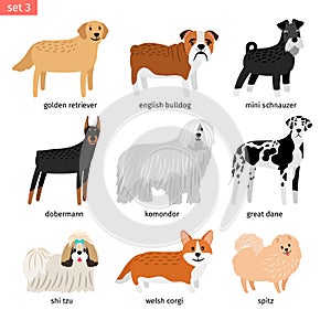 Dog breeds. Vectors dogs breeding collection isolated on white background, great dane and komondor