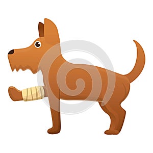 Dog broken leg icon, cartoon style