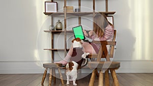 A dog in a brown sweater and a girl look at a screen with chromakey. A woman shows a tablet to a Jack Russell