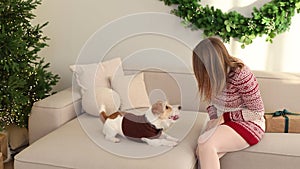 A dog in a brown sweater and a girl are sitting on a sofa against the backdrop of a Christmas tree. A woman gives a