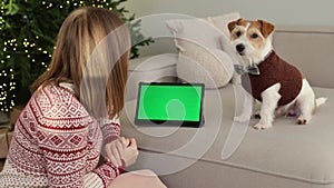 A dog in a brown sweater and a girl are sitting on the sofa with a tablet against the background of a Christmas tree