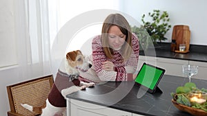 A dog in a brown sweater and a girl are sitting at a table with a tablet and candles. Jack Russell Terrier looks at