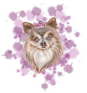 Dog in brown vector illustration with light and dark tones like queen icon with a crown and light purple spots background