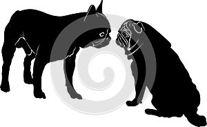 Dog Bulldog. The dog breed bulldog.Dog Bulldog black silhouette vector isolated on white background. Dog pug. Meeting two dogs of photo