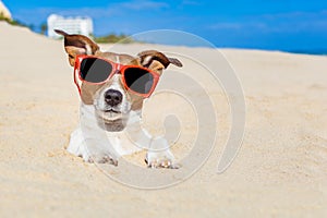 Dog buried in sand