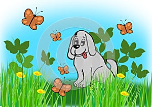 Dog and Butterflies