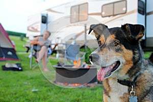 Dog at Campground in Front of Man Playing Guitar