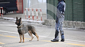 Dog Canine Unit of the police during the inspection of the area