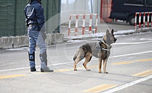 Dog Canine Unit of the police during the inspection of the area