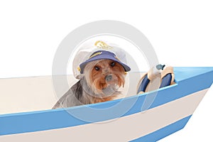 The dog in the captain`s cap sits in the boat.