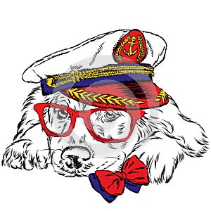 Dog in the captain`s cap. Vector illustration.