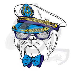 Dog in the captain`s cap. Vector illustration.