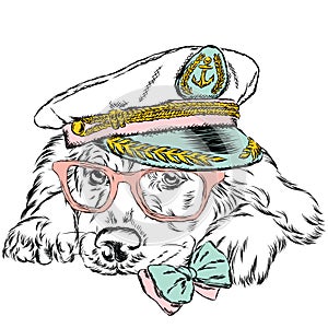 Dog in the captain`s cap. Vector illustration.