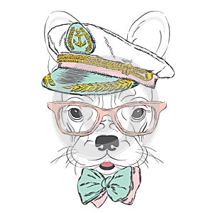 Dog in the captain`s cap. Vector illustration.