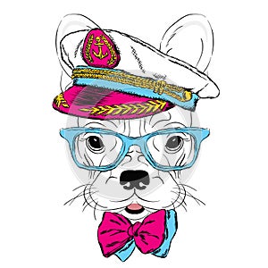 Dog in the captain`s cap. Vector illustration.