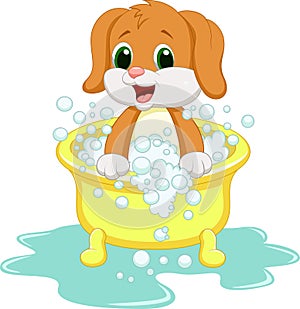 Dog cartoon bathing