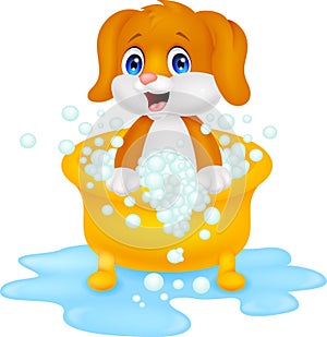 Dog cartoon bathing