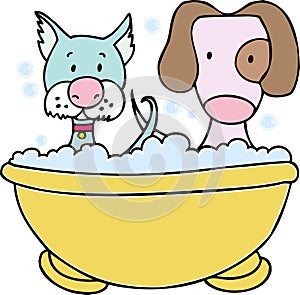 Pes a kočka koupel 