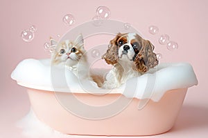 dog and cat bath, AI generated