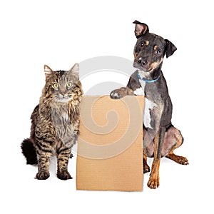Dog and Cat With Blank Cardboard Sign