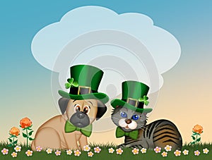 Dog and cat celebrate St. Patrick`s day