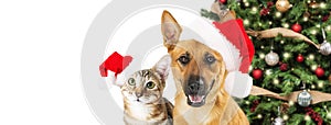 Dog and Cat Christmas Web Banner