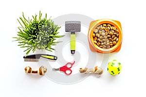 Dog or cat food in bowl with treats and toys, top view