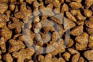 Dog or cat food or kibble shot up close. Top view background