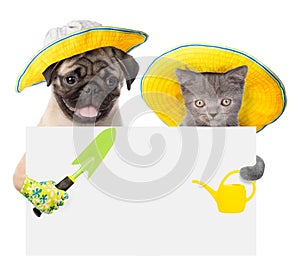 Dog and cat with a garden tool peek out from behind a banner