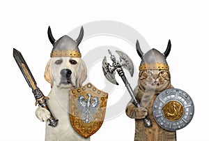 Dog with cat are knights